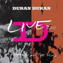 Image du média "A DIAMOND IN THE MIND (LIVE 2011) de DURAN DURAN"