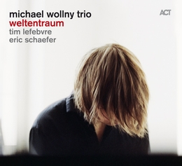 Image du média "WELTENTRAUM de Michael WOLLNY TRIO"