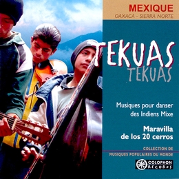 Image du média "TEKUAS. MUSIQUES POUR DANSER DES INDIENS MIXE de MARAVILLA DE LOS 20 CERROS"