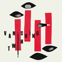 Image du média "CHOOSE YOUR OWN ADVENTURE de VANISHING TWIN"