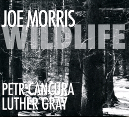 Image du média "WILDLIFE de Joe MORRIS"