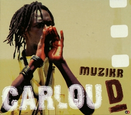 Image du média "MUZIKR de CARLOU D"