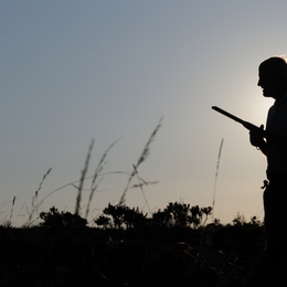 Image du média "LE CHASSEUR ET LE PHOTOGRAPHE de Guillaume ABGRALL"