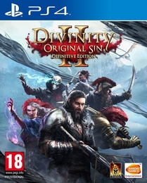 Image du média "DIVINITY ORIGINAL SIN 2 de LARIAN STUDIOS"