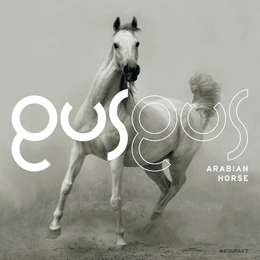 Image du média "ARABIAN HORSE de GUSGUS"