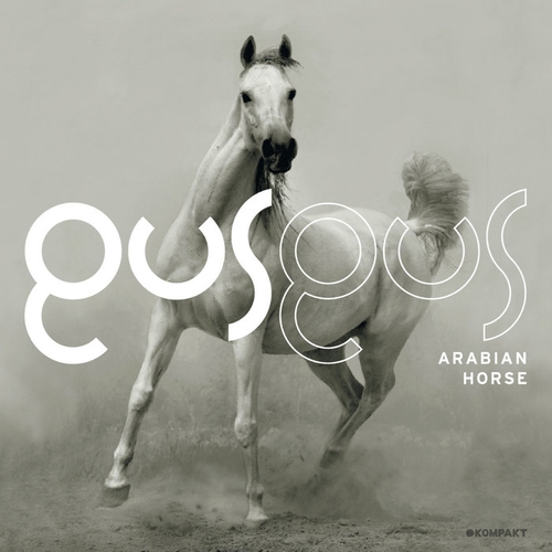 Couverture ARABIAN HORSE de GUSGUS