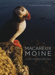 Image du média "MACAREUX MOINE, LE PETIT FRÈRE DE L'ARCTIQUE de Hugo BRACONNIER"