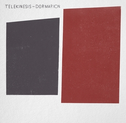 Image du média "DORMARION de TELEKINESIS"