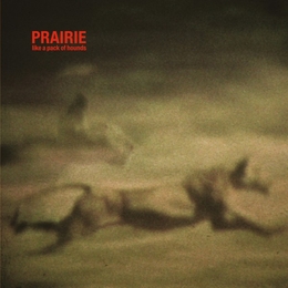 Image du média "LIKE A PACK OF HOUNDS de PRAIRIE"