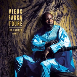 Image du média "LES RACINES de Vieux Farka TOURÉ"