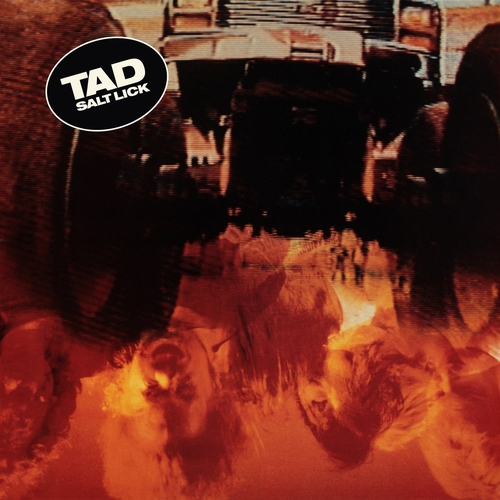 Couverture SALT LICK (DELUXE EDITION) de TAD