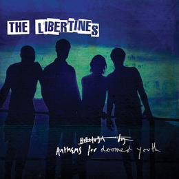 Image du média "ANTHEMS FOR DOOMED YOUTH de THE LIBERTINES"