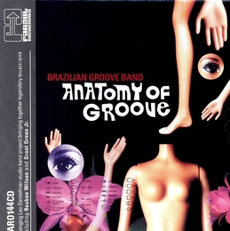 Image du média "ANATOMY OF GROOVE de BRAZILIAN GROOVE BAND"