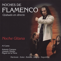 Image du média "NOCHES DE FLAMENCO. NOCHE GITANA"