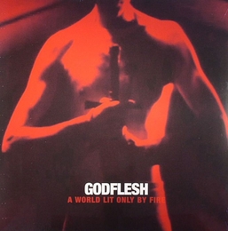 Image du média "A WORLD LIT ONLY BY FIRE de GODFLESH"