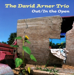 Image du média "OUT / IN THE OPEN de David ARNER TRIO"