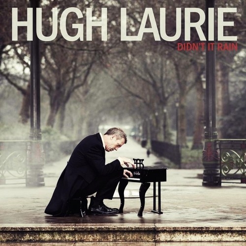 Couverture DIDN'T IT RAIN de Hugh LAURIE