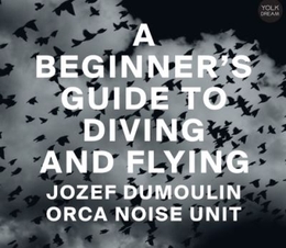 Image du média "A BEGINNER'S GUIDE TO DIVING AND FLYING de Jozef DUMOULIN & ORCA NOISE UNIT"