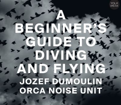 Couverture A BEGINNER'S GUIDE TO DIVING AND FLYING de Jozef DUMOULIN & ORCA NOISE UNIT