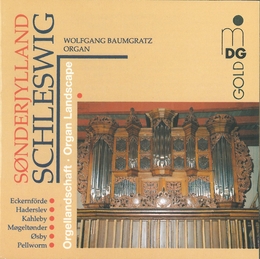 Image du média "ORGAN LANDSCAPE: SCHLESWIG"