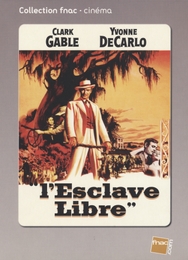 Image du média "L'ESCLAVE LIBRE de Raoul WALSH"