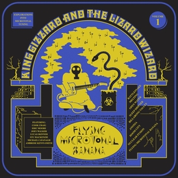 Image du média "FLYING MICROTONAL BANANA de KING GIZZARD AND THE LIZARD WIZARD"