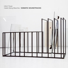 Image du média "ULRICH TROYER MEETS GEORG BLASCHKE: SOMATIC SOUNDTRACKS de Ulrich TROYER"