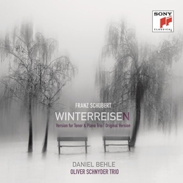 Image du média "WINTERREISEN de Franz SCHUBERT"