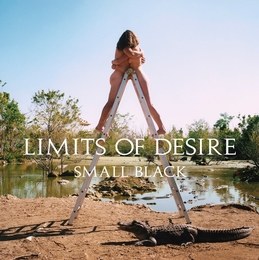 Image du média "LIMITS OF DESIRE de SMALL BLACK"