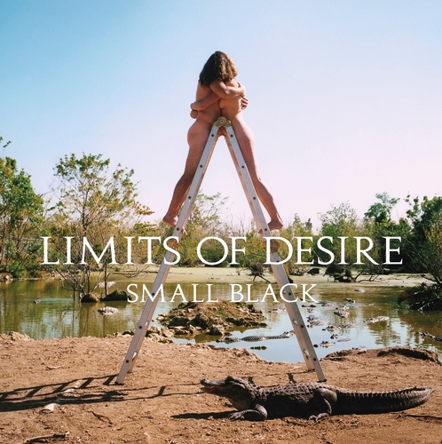 Couverture LIMITS OF DESIRE de SMALL BLACK