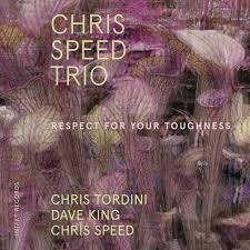 Image du média "RESPECT FOR YOUR TOUGHNESS de Chris SPEED TRIO"