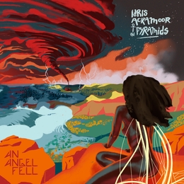 Image du média "AN ANGEL FELL de Idris ACKAMOOR & THE PYRAMIDS"