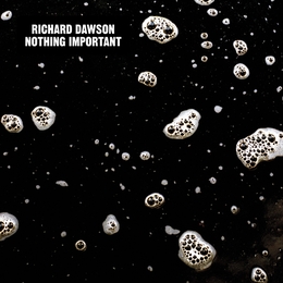 Image du média "NOTHING IMPORTANT de Richard DAWSON"