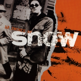 Image du média "12 INCHES OF SNOW de SNOW"