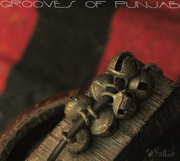 Image du média "GROOVES OF PUNJAB"