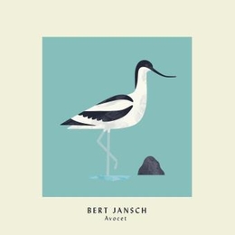 Image du média "AVOCET (DELUXE EDITION) de Bert JANSCH"