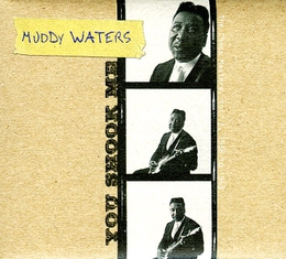 Image du média "YOU SHOOK ME - THE CHESS MASTERS VOL.3 - 1958 TO 1963 de MUDDY WATERS"