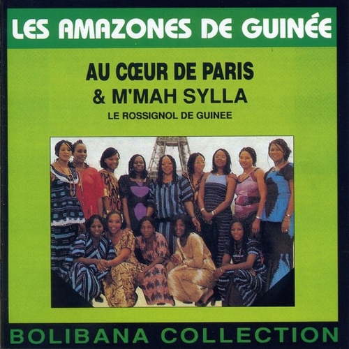 Couverture LES AMAZONES DE GUINEE AU COEUR DE PARIS & M'MAH SYLLA de LES AMAZONES DE GUINEE