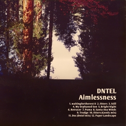 Image du média "AIMLESSNESS de DNTEL"