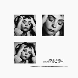 Image du média "WHOLE NEW MESS de Angel OLSEN"