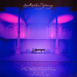 Image du média "THE WELL TUNED PIANO de La Monte YOUNG"