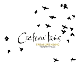 Image du média "TREASURE HIDING (THE FONTANA YEARS) de COCTEAU TWINS"