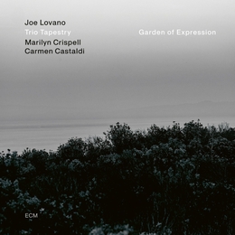 Image du média "GARDEN OF EXPRESSION de Joe LOVANO TRIO TAPESTRY"