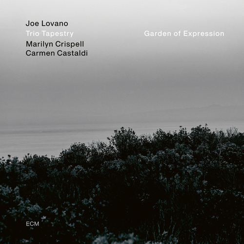 Couverture GARDEN OF EXPRESSION de Joe LOVANO TRIO TAPESTRY