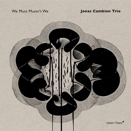 Image du média "WE MUST MUSTN'T WE de Jonas CAMBIEN TRIO"