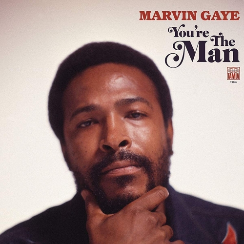 Couverture YOU'RE THE MAN de Marvin GAYE