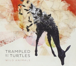 Image du média "WILD ANIMALS de TRAMPLED BY TURTLES"