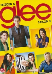 Image du média "GLEE - 5/1 de Brad FALCHUK"