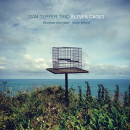 Image du média "ELEVEN CAGES de Dan TEPFER TRIO"