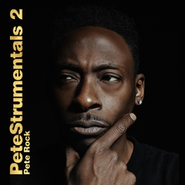 Image du média "PETESTRUMENTALS 2 de Pete ROCK"